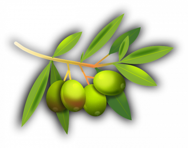 Olio extravergine di oliva